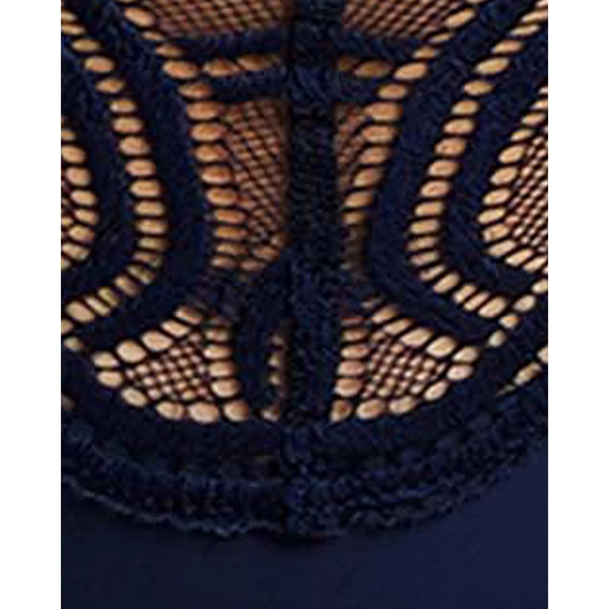 Elise Microfibre and Lace Hipster Brief