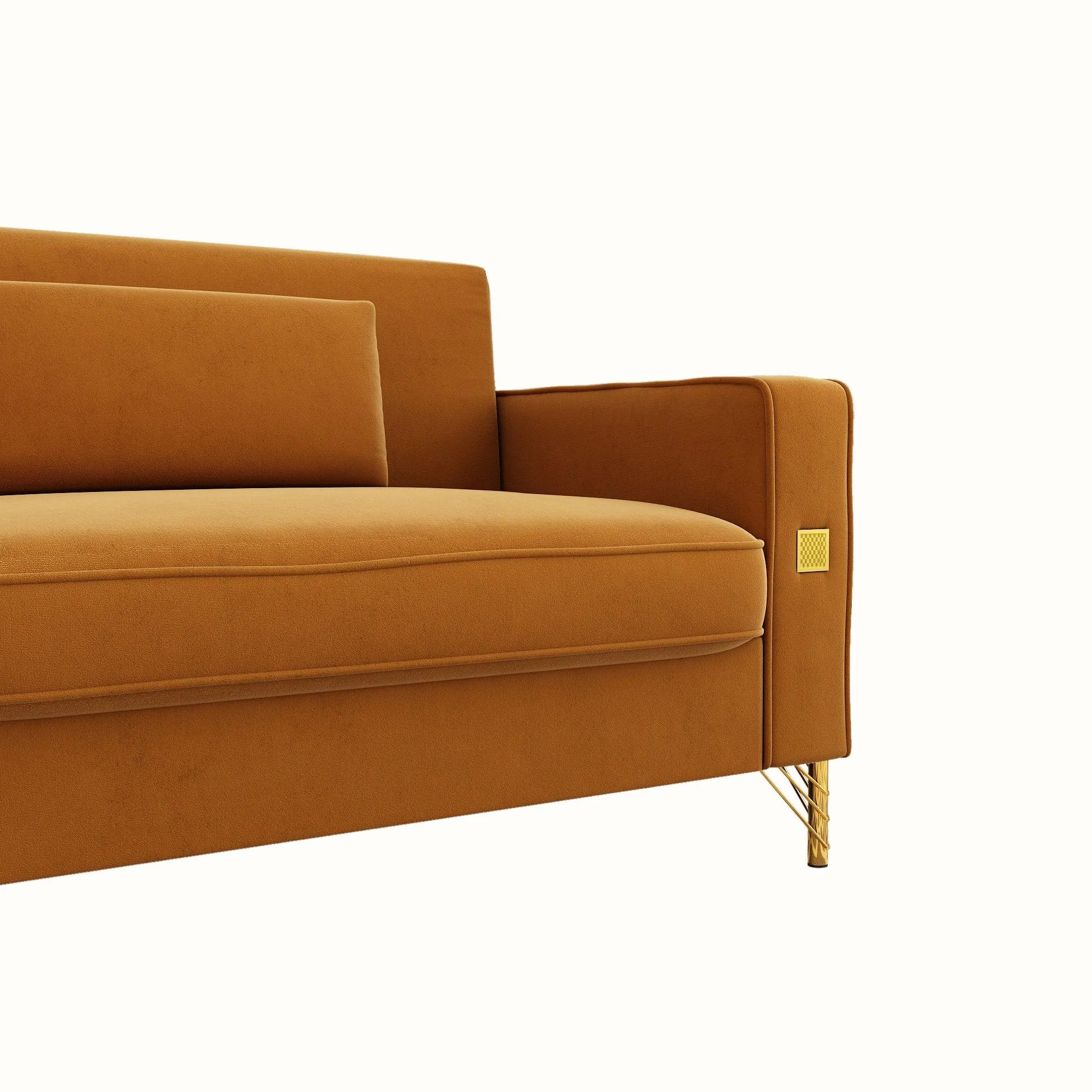 Modern Loveseat Sofa with Pillows