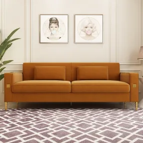 Modern Loveseat Sofa with Pillows