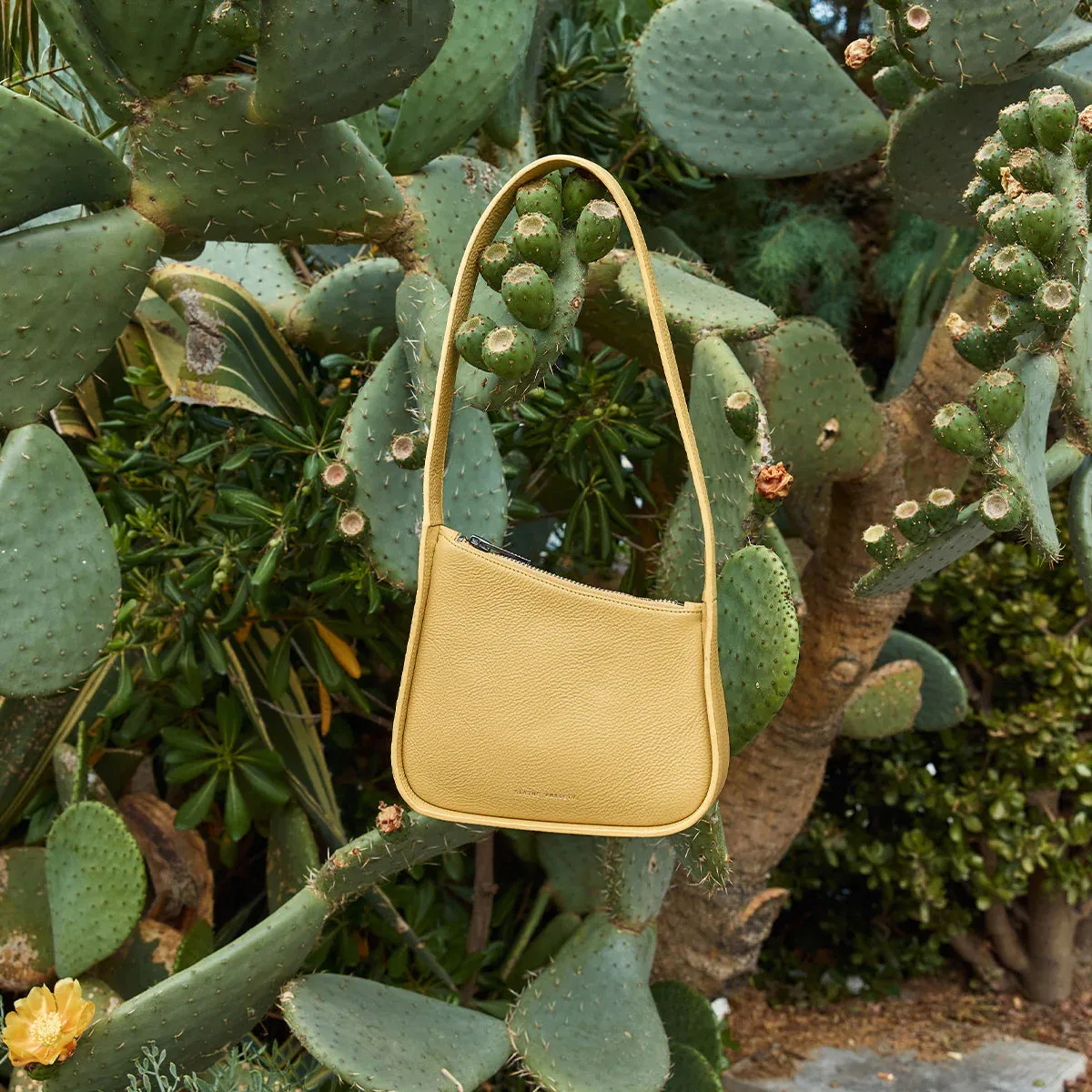 STATUS ANXIETY Womens Phenomena Leather Bag - Buttermilk